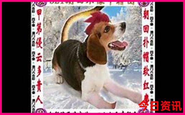 山东溶洞景区排名